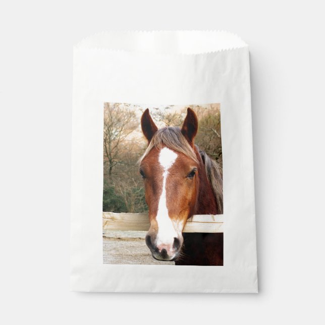 HORSES FAVOR BAG (Front)