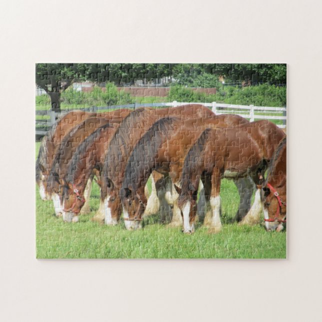 Horses feeding in a field jigsaw puzzle (Horizontal)