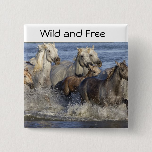 Horses galloping in the water button (Front)