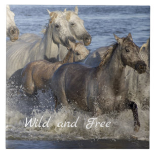 Horses galloping in the water ceramic tile