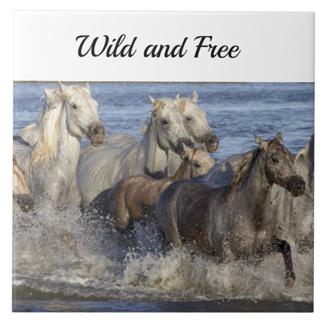 Horses galloping in the water ceramic tile (Front)