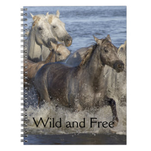 Horses galloping in the water notebook