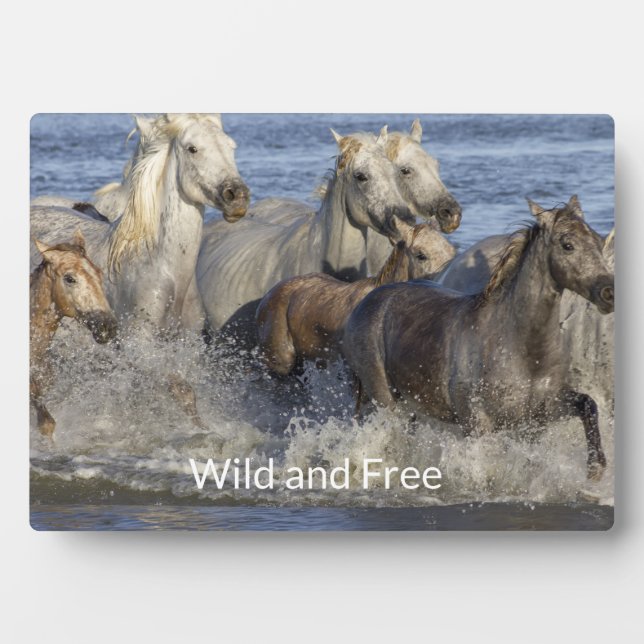 Horses galloping in the water plaque (Front)