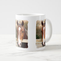 HORSES