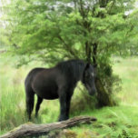 HORSES GIFT BOX<br><div class="desc">A beautiful black mare resting in the shade of a tree. Watercolor. Wales UK.</div>