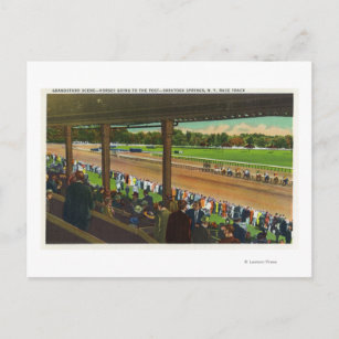 Horses Going to the Post at Race Track Postcard