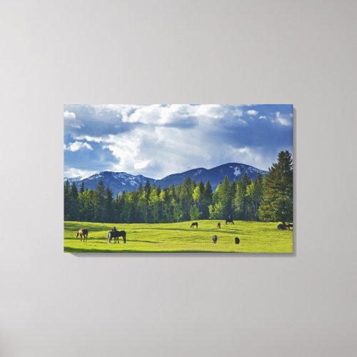 Horses graze in pasture near Whitefish Canvas Print