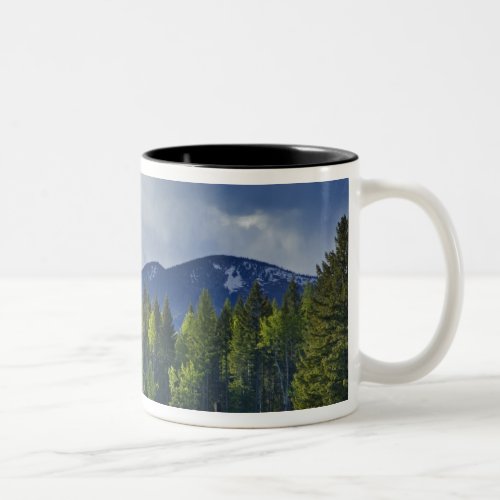 Horses graze in pasture near Whitefish Two_Tone Coffee Mug