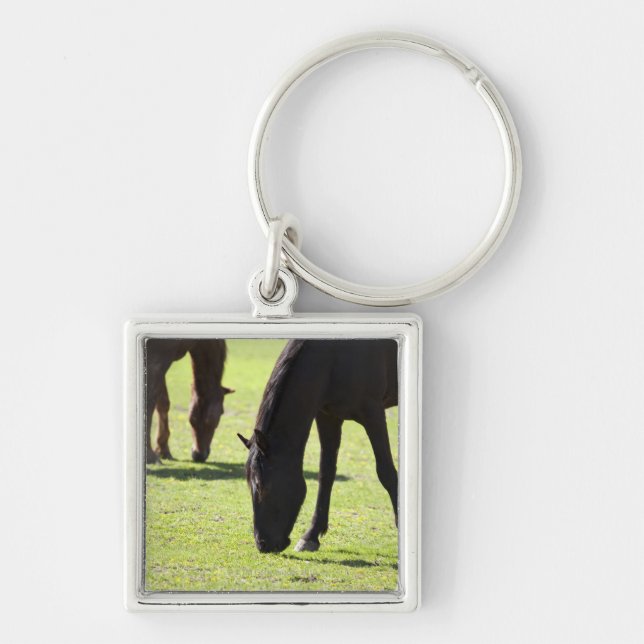 Horses grazing 2 keychain (Front)