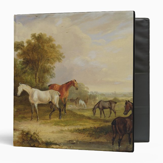 Horses Grazing: A Grey Stallion grazing with Mares Binder (Front/Inside)