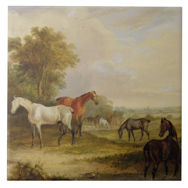 Horses Grazing: A Grey Stallion grazing with Mares Ceramic Tile (Front)