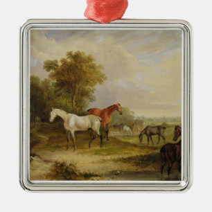 Horses Grazing: A Grey Stallion grazing with Mares Metal Ornament