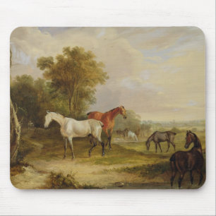 Horses Grazing: A Grey Stallion grazing with Mares Mouse Pad