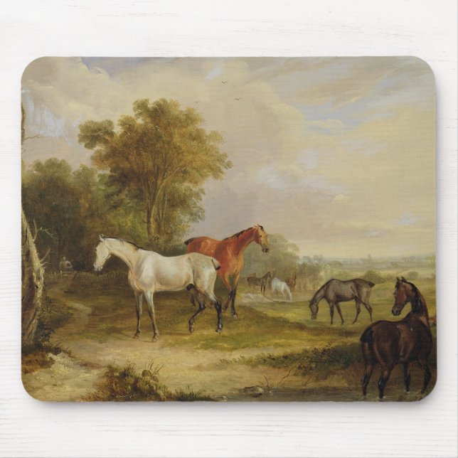 Horses Grazing: A Grey Stallion grazing with Mares Mouse Pad (Front)