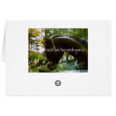 Horses Grazing Cards (Back Horizontal)
