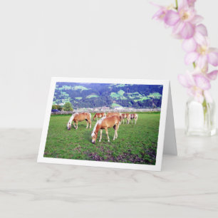 Horses Grazing in Austria Card