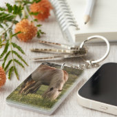 Horses grazing in meadow, Cades Cove, Great 3 Keychain (Front Right)