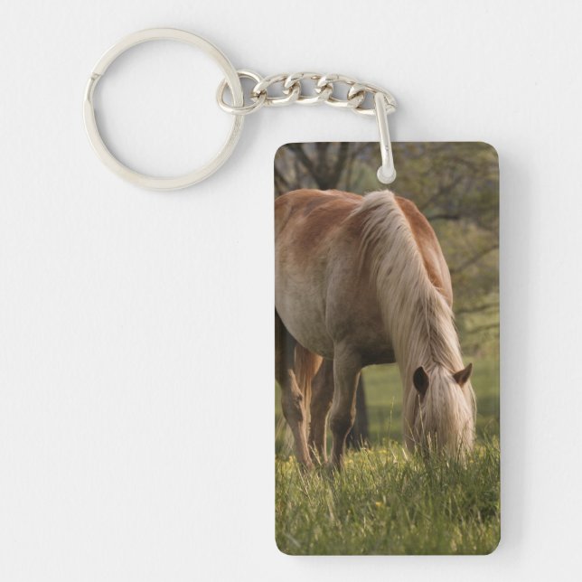 Horses grazing in meadow, Cades Cove, Great 3 Keychain (Front)