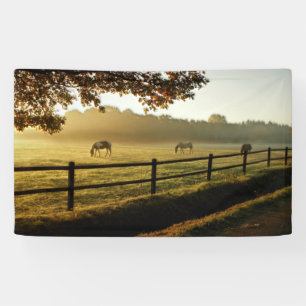 Horses Grazing in Sunrise Pasture Banner