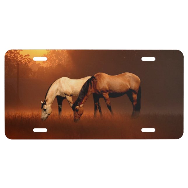 Horses grazing in the mist license plate (Front)