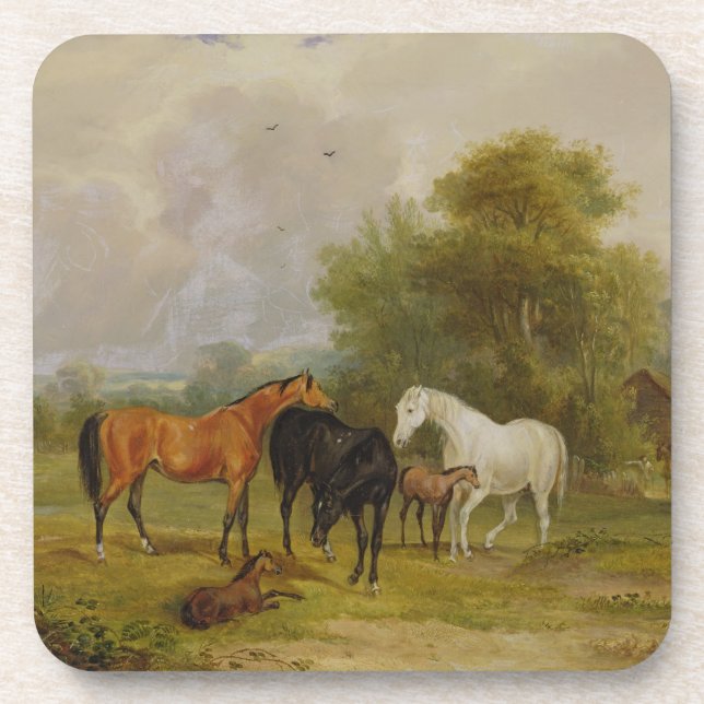 Horses Grazing: Mares and Foals in a Field (oil on Drink Coaster (Front)