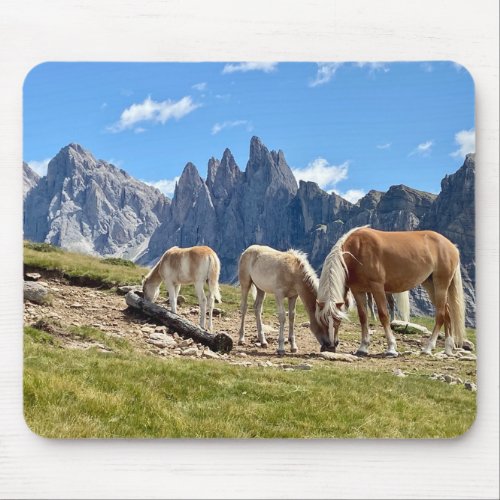 Horses grazing mouse pad