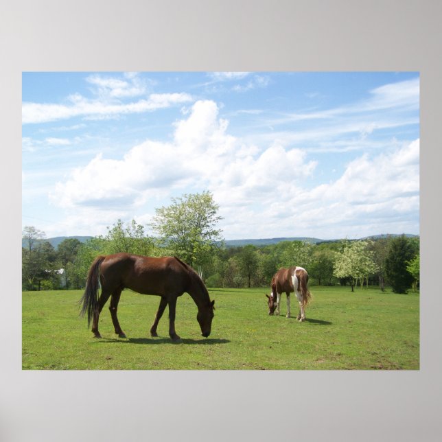 Horses Grazing on Fields Beautiful Sky Poster (Front)