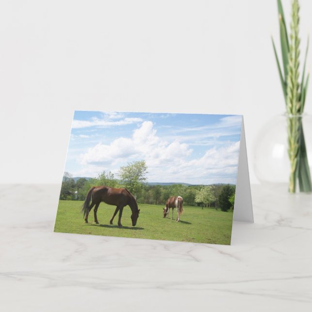 Horses Grazing on Fields Greeting Card (Front)