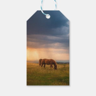Horses grazing on stormy day gift tags