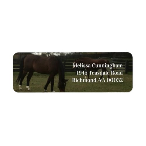 Horses Grazing Return Address Labels