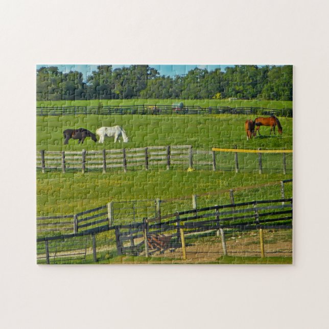 Horses Grazing Wisconsin. Jigsaw Puzzle (Horizontal)