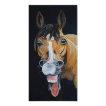 Horses have no sense of humor