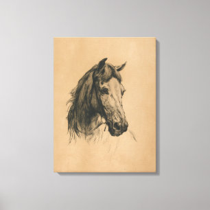 Horse's Head (by Heywood Hardy) Canvas Print