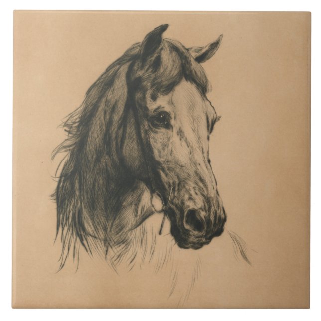Horse's Head (by Heywood Hardy) Ceramic Tile (Front)