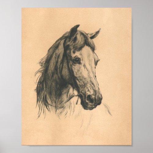 Horses Head By Heywood Hardy Poster