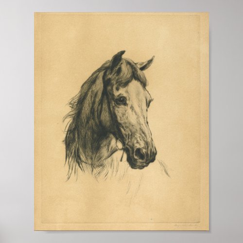 Horses Head By Heywood Hardy Poster