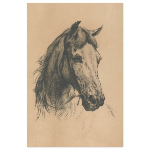 Horses Head by Heywood Hardy Tissue Paper