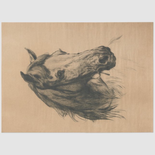 Horse's Head (by Heywood Hardy) Tissue Paper (Front)