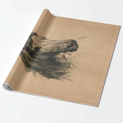 Horses Head by Heywood Hardy Wrapping Paper