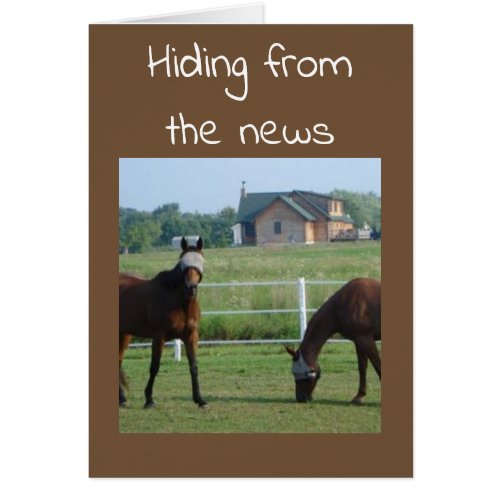 HORSES HIDING FROM THE NEWS U R 40