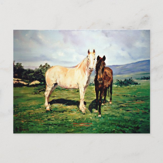 Horses/Horses/Horses Postcard (Front)