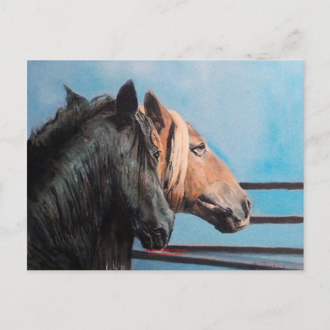 Horses/Horses/Horses Postcard (Front)