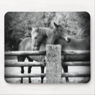 Horses Hugging - Horse Love Photograph Mouse Pad