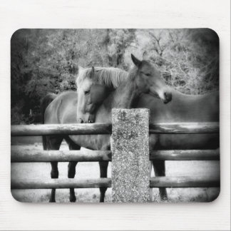 Horses Hugging - Horse Love Photograph Mouse Pad