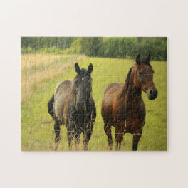 Horses Image Shot Jigsaw Puzzle