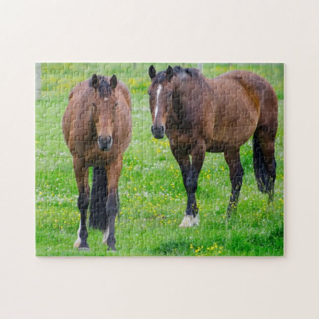 Horses in a Field Jigsaw Puzzle (Horizontal)