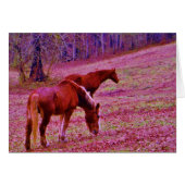 Horses in a lavender purple pink field, (Front Horizontal)