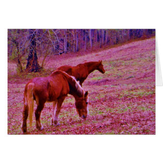 Horses in a lavender purple pink field, cards