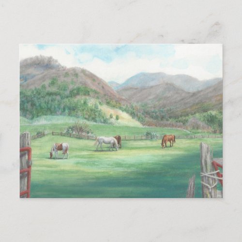 Horses in a Pasture Postcard