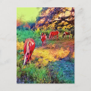 Horses in a Pasture Postcard